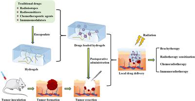 Recent progress of hydrogel-based local drug delivery systems for postoperative radiotherapy